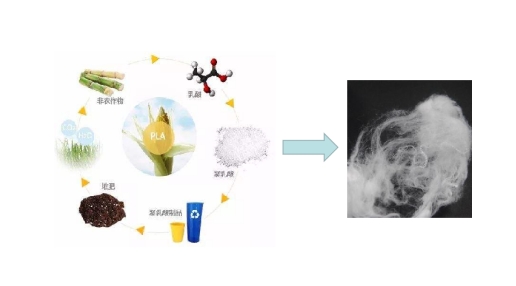 3499拉斯维加斯科技