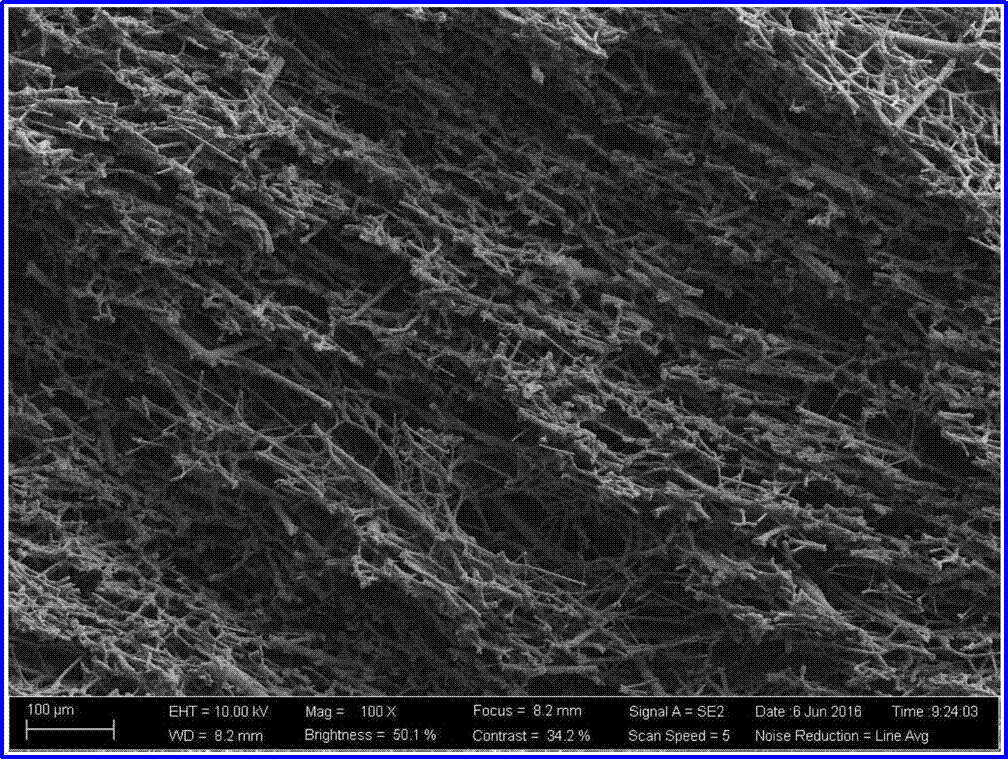 3499拉斯维加斯科技