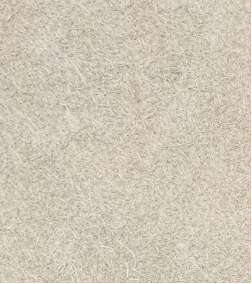 3499拉斯维加斯科技