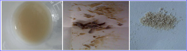 3499拉斯维加斯科技