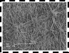 3499拉斯维加斯科技