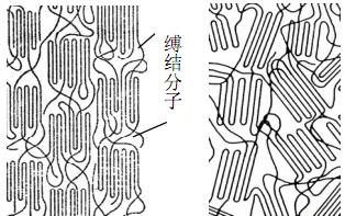 3499拉斯维加斯科技