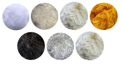 3499拉斯维加斯科技