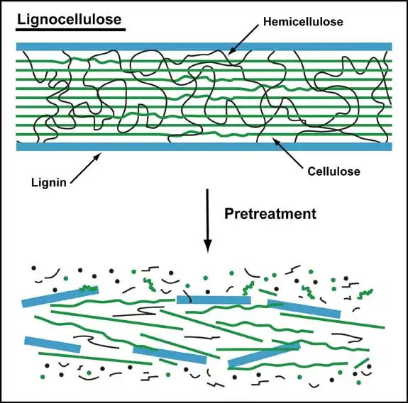 3499拉斯维加斯科技