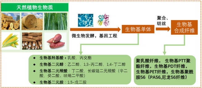 3499拉斯维加斯科技