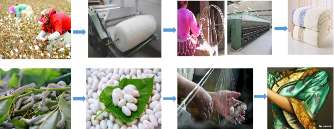 3499拉斯维加斯科技