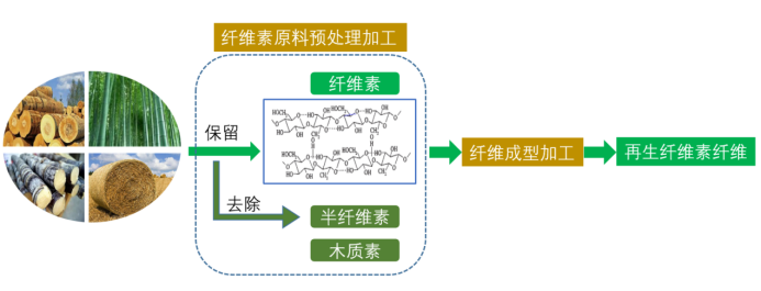3499拉斯维加斯科技