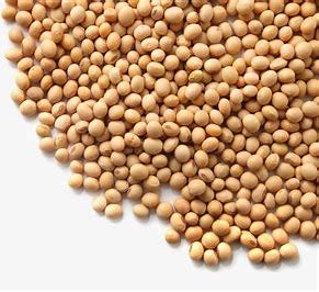 3499拉斯维加斯科技