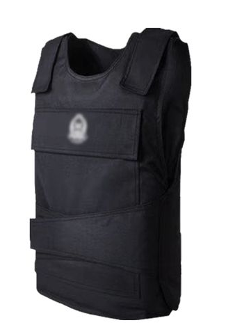 3499拉斯维加斯科技