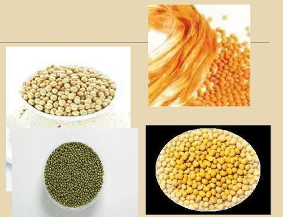 3499拉斯维加斯科技