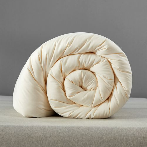 3499拉斯维加斯科技