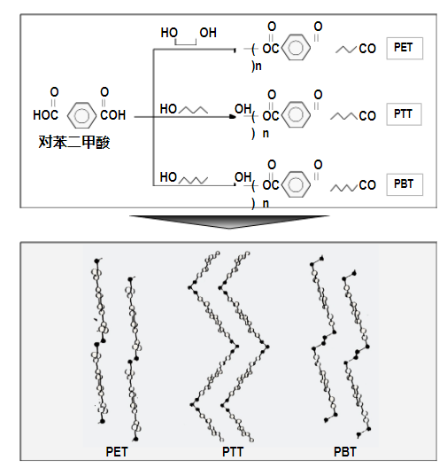 3499拉斯维加斯科技