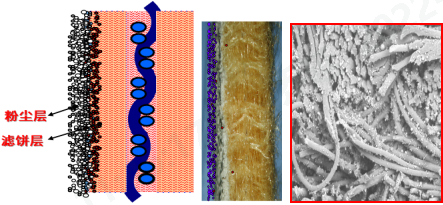 3499拉斯维加斯科技