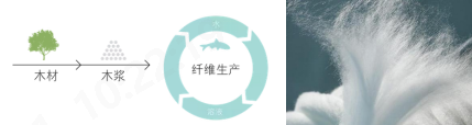 3499拉斯维加斯科技